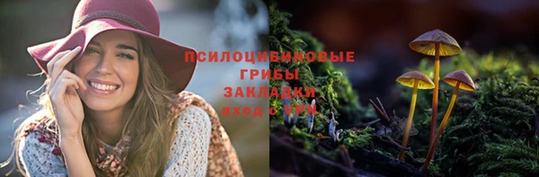 дживик Аркадак